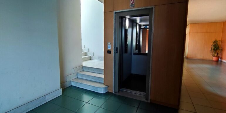 Cirio9-3